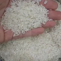 برنج عنبربو