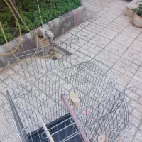 قفس بزرگ