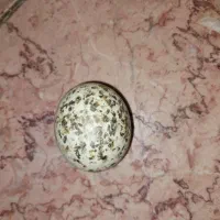 سنگ آسیاب الماس