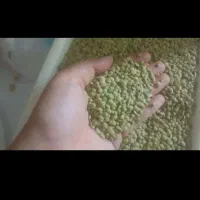 عدس محلی کالپوش