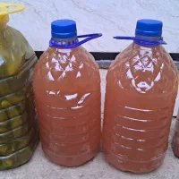 سرکه سیب اعلا شیراز.خیار شور.ترشی قارچ