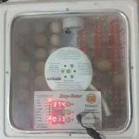 دستگاه جوجه کشی