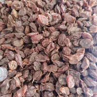 کشمش آبگیری