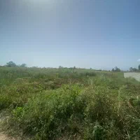 فروش ۳۰۰ متر / جاده ساحلی میانکو