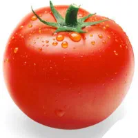 ابگوجه گیری سیار