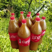 آبغوره خالص درجه یک امساله