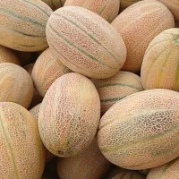 هنداونه