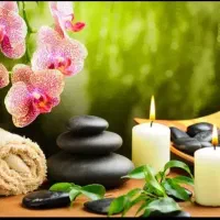 روغن های گیاهی