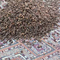 کشمش مخصوص قنادی