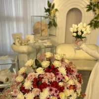 خدمات مجالس نامزدی و عروسی