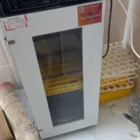 جوجه پرنده