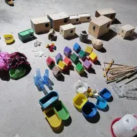 انواع لانه پرنده