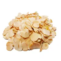 اسلایس ها