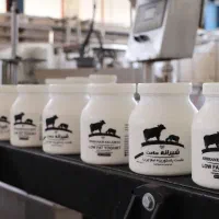 استخدام خانم وآقا کارخانه لبنیات شهرک صنعتی کمشچه