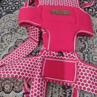 اغوشی
