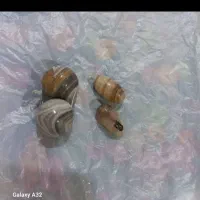 ۱جفت مهر و ۲عدد تکی معاوضه با موتورسیکلت