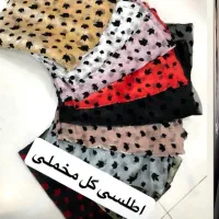اطلسی گل مخمل