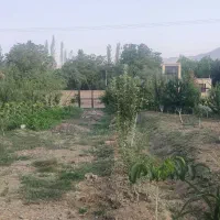 کارگر ماهر جهت بیل زدن درباغ نیازمندم