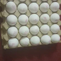 تخم مرغ شونه ای