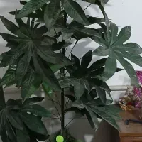 گل مصنوعی برگ انجیری