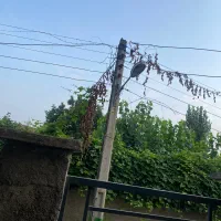 خونه اجاره