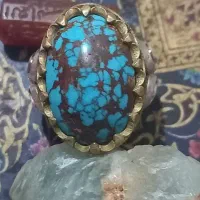فیروزه کهنه شجری