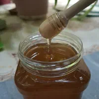 عسل گون تازه