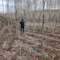 فروش-زمین