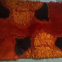 پادری