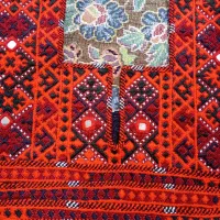 سرتوپ و کریشی