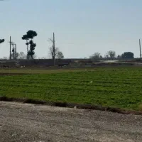 زمین