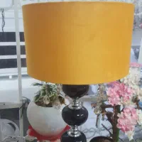 آباژور ایستاده کنار سالنی نو