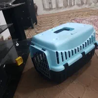 باکس سگ