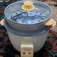 پلوپز سانی