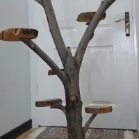 استند گل