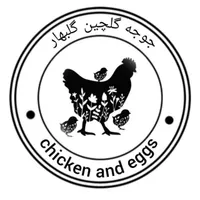 جوجه مرغ خروس آمروک یکروزه اف خورده|حیوانات مزرعه|مشهد, حجاب|دیوار