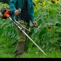 خدمات باغبانی  علف زنی   سم پاشی هرسکاری  بادستگاه