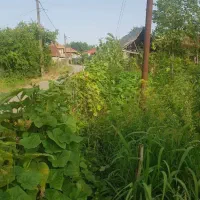 زمین مسکونی ۱۳۰۰مزیباکنار