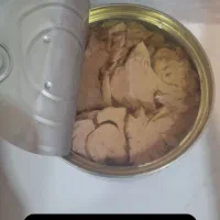تن هوور نیک پذیر چابهار