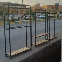 رگال و قفسه