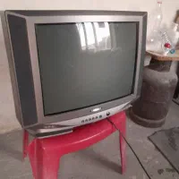 جانداشتت
