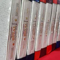 تولیدوتشک شرکتی رویال دیاکو الترا