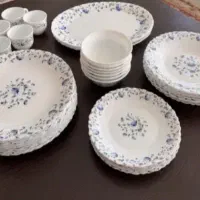 سرویس آرکوپال اماراتی
