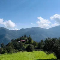 زمین