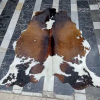پوست گاوی ، پوست گاو دباغی شده