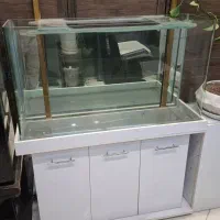 آکواریوم شیشه خم