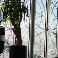 خدمات و نظافت