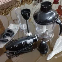 گوشکوب برقی همیلتون