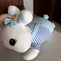 خرگوش خوابیده