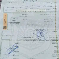 بناب